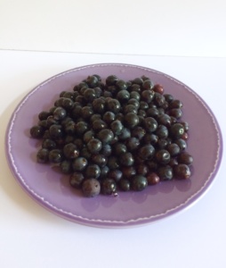 schiacciata_uva_uvafragola