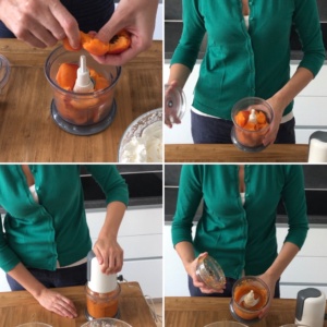 lingotto_gelato_albicocche_frutta