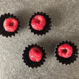 gelatine_lamponi_vegan_stampi