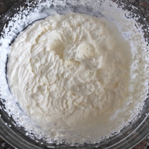 cheesecake_senza_cottura_senza_uova