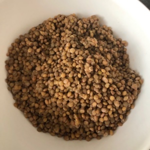 insalata_lenticchie_pomodorini_basilico